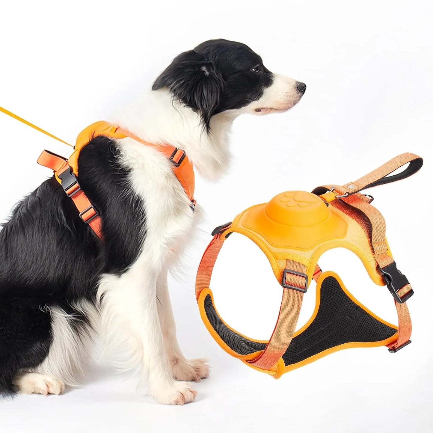 Anti-Pull Dog Harness Vest with Leash