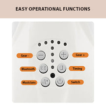 Bluetooth Electric Baby Swing Chair