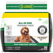 Disposable Puppy Pee Pads (Pack of 100)
