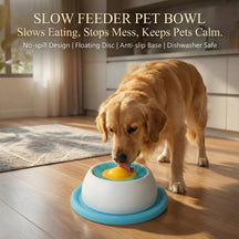 Slow Feeder Pet Bowl