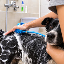 Silicone Adjustable Massage Glove Showerhead Sprayer for Dogs and Cats