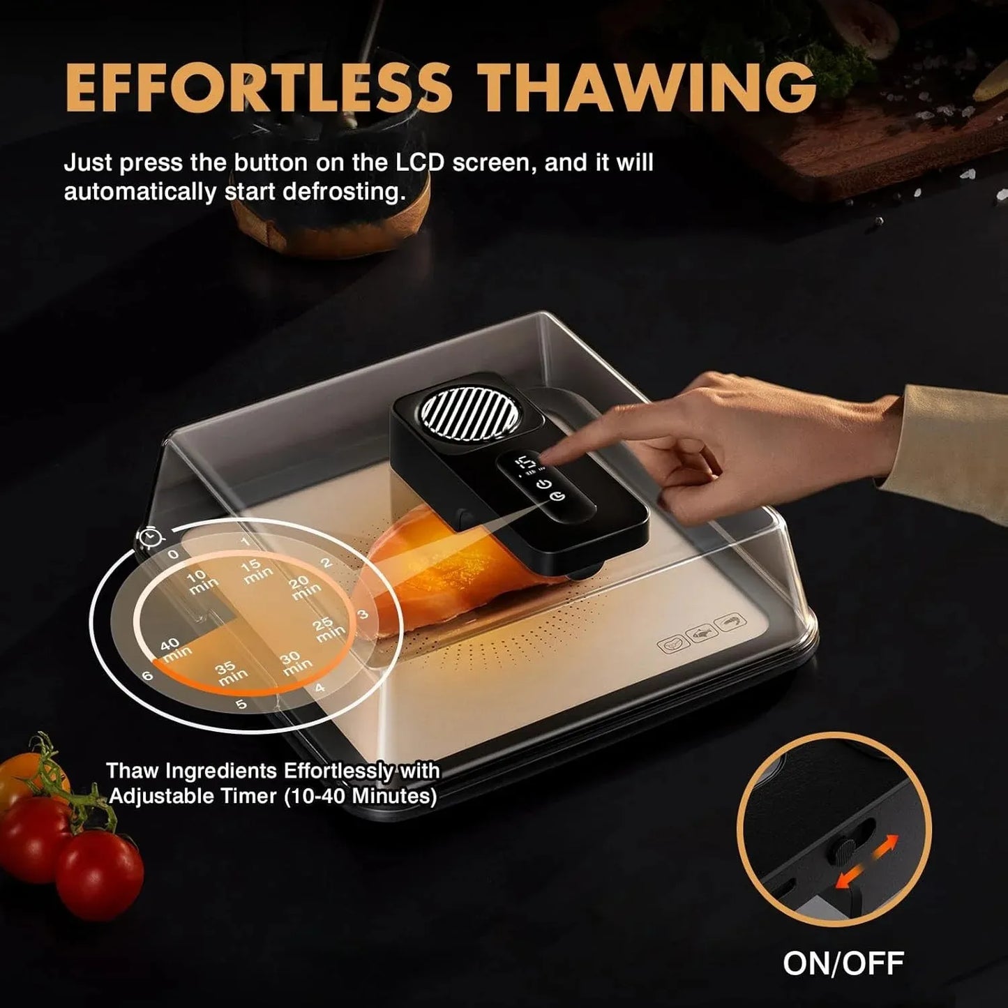 Quick Defrost Meat Tray with Lid