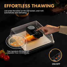 Quick Defrost Meat Tray with Lid