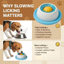 Slow Feeder Pet Bowl