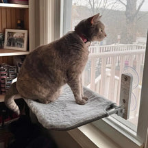 Foldable Cat Window Perch with Strong Suction & Plush Pad