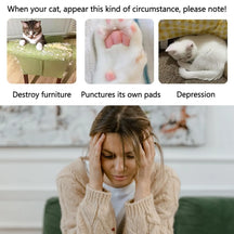 Magic Organ 3-in-1 Cat Scratcher Bed