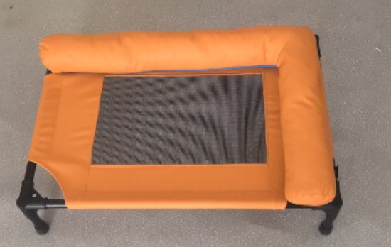Elevated Dog Bed with Padded Bolster Rim