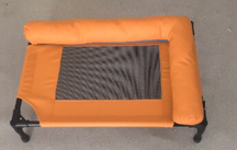 Elevated Dog Bed with Padded Bolster Rim