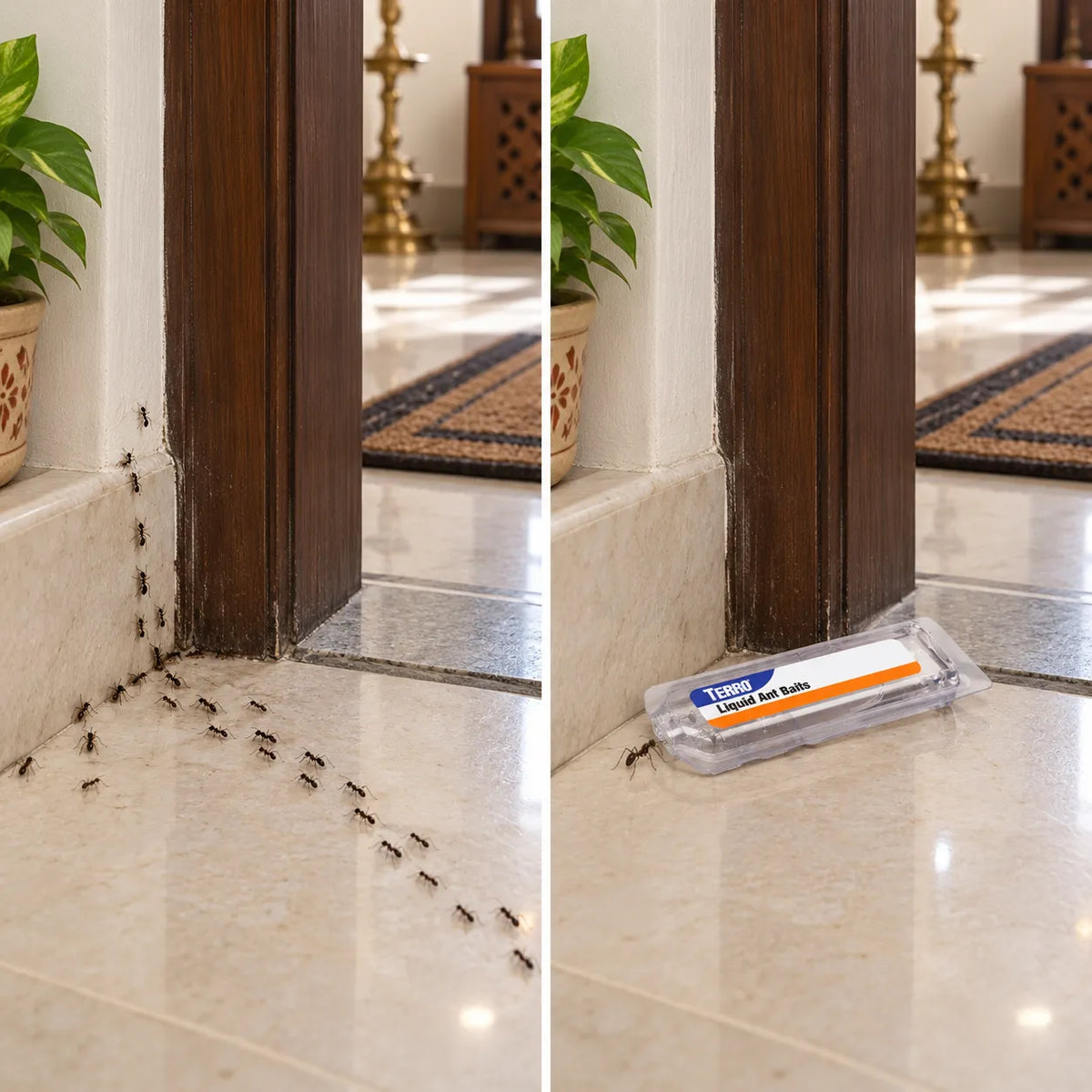 Liquid Ant Bait Stations Indoor Ant Killer Pre-Filled Snap-Off Bait Trays, Kills the Queen & the Entire Colony