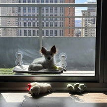 Foldable Cat Window Perch with Strong Suction & Plush Pad