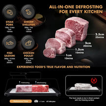 Quick Defrost Meat Tray with Lid