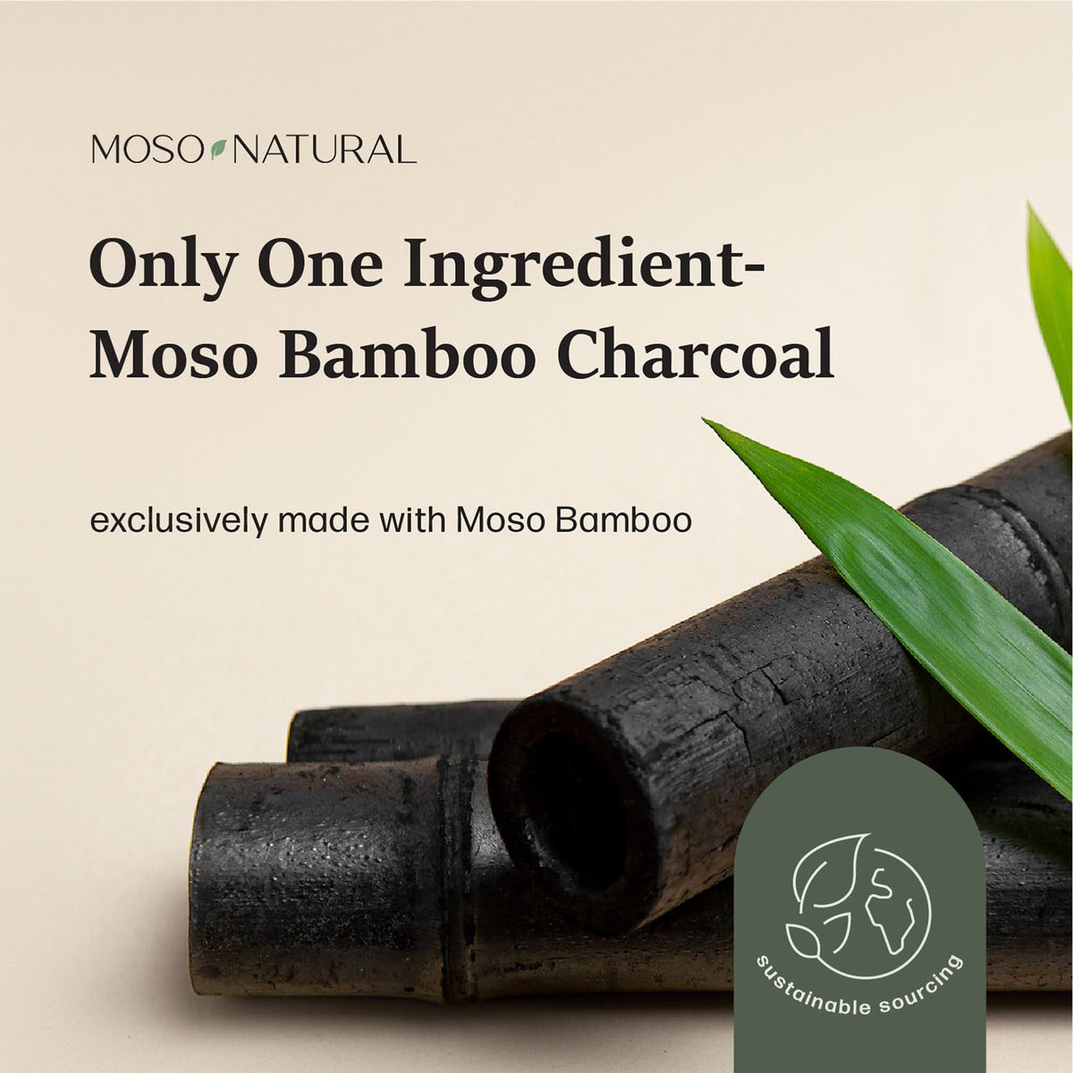 Bamboo Charcoal Air Purifying Bag