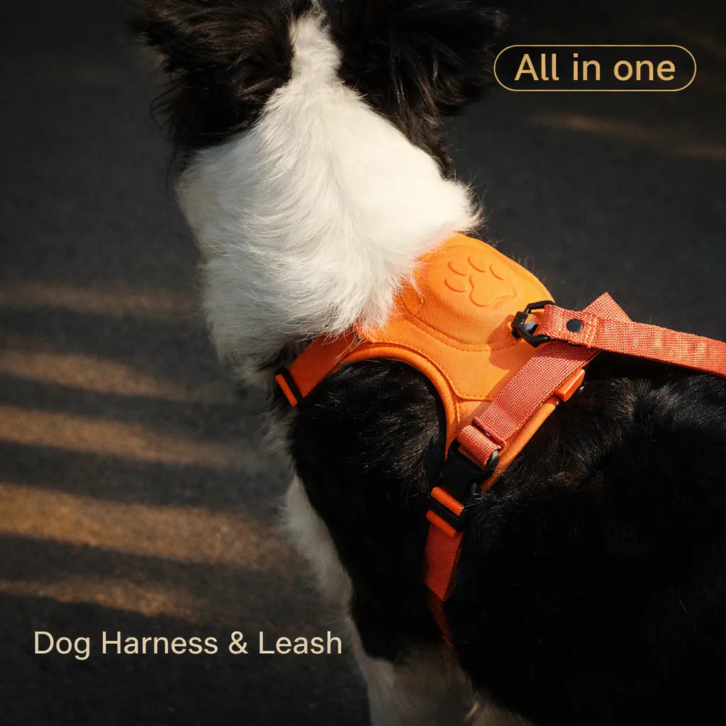 Anti-Pull Dog Harness Vest with Leash