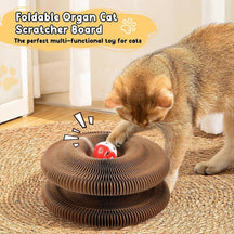 Magic Organ 3-in-1 Cat Scratcher Bed