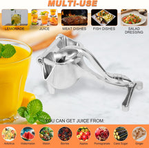 Aluminum Alloy Manual Fruit Squeezer
