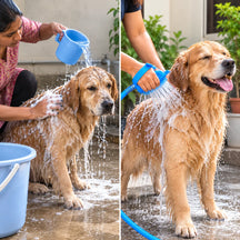 Silicone Adjustable Massage Glove Showerhead Sprayer for Dogs and Cats