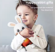 Dancing Rabbit Toy