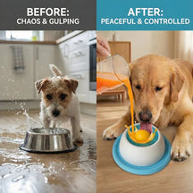 Slow Feeder Pet Bowl