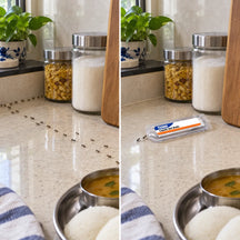 Liquid Ant Bait Stations Indoor Ant Killer Pre-Filled Snap-Off Bait Trays, Kills the Queen & the Entire Colony
