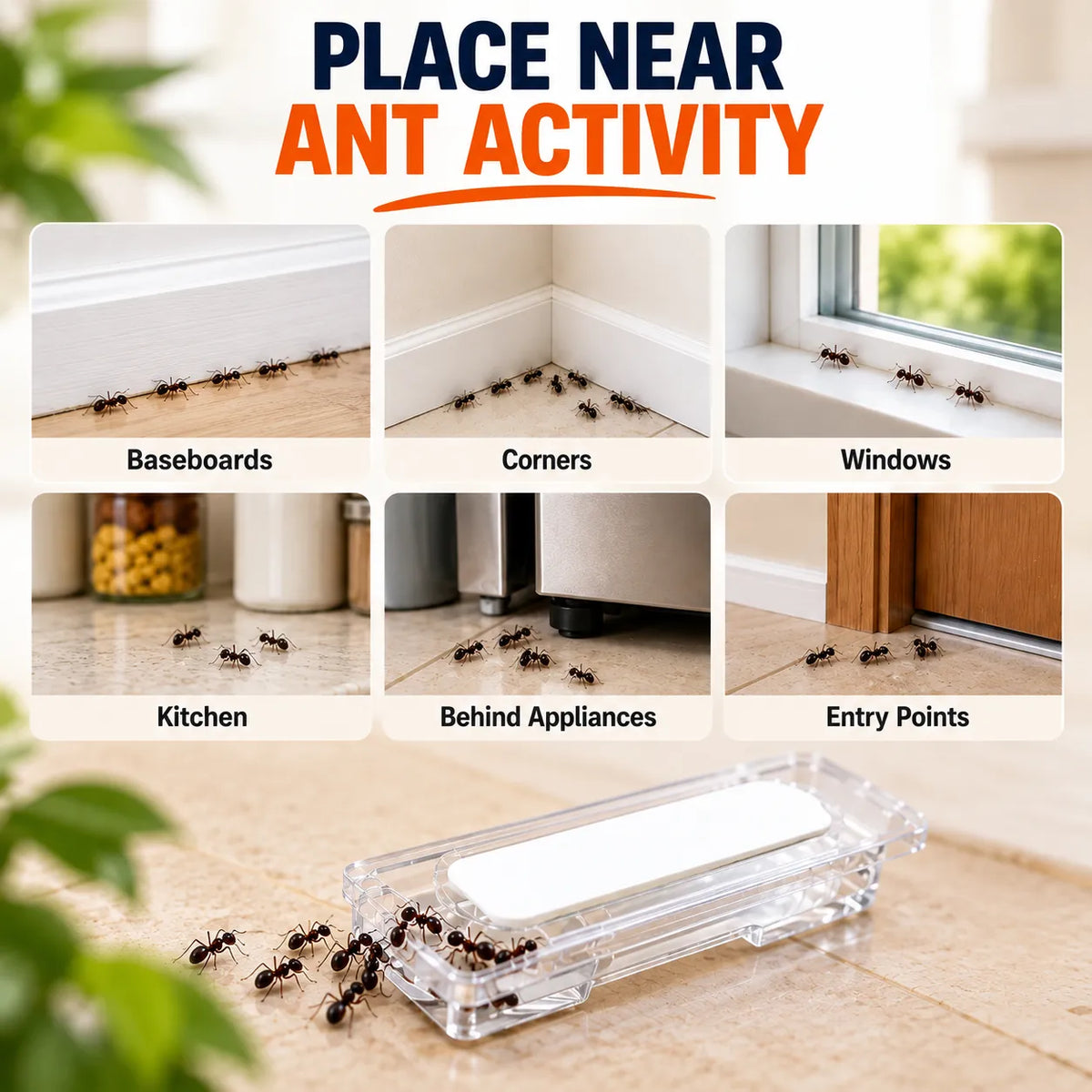 Liquid Ant Bait Stations Indoor Ant Killer Pre-Filled Snap-Off Bait Trays, Kills the Queen & the Entire Colony