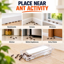 Liquid Ant Bait Stations Indoor Ant Killer Pre-Filled Snap-Off Bait Trays, Kills the Queen & the Entire Colony