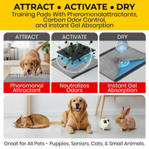 Disposable Puppy Pee Pads (Pack of 100)
