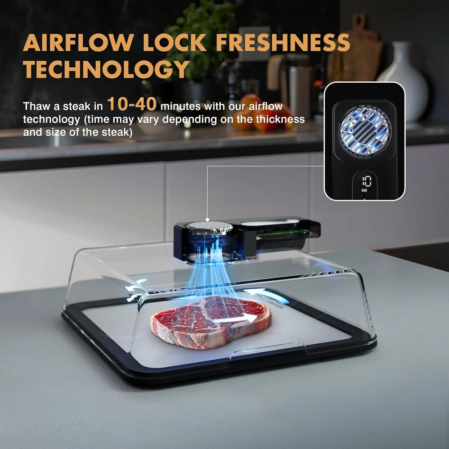 Quick Defrost Meat Tray with Lid