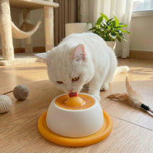 Slow Feeder Pet Bowl