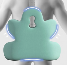 Lumbar Support Back Rest Cushion Pillow