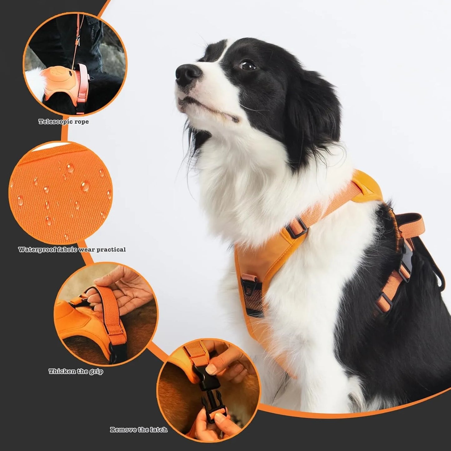 Anti-Pull Dog Harness Vest with Leash
