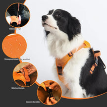 Anti-Pull Dog Harness Vest with Leash