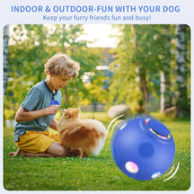 Automatic Rolling Interactive LED Ball For Cats & Dogs