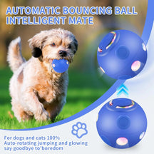 Automatic Rolling Interactive LED Ball For Cats & Dogs