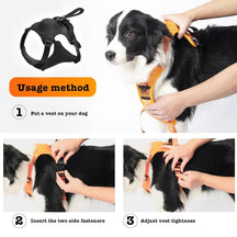 Anti-Pull Dog Harness Vest with Leash