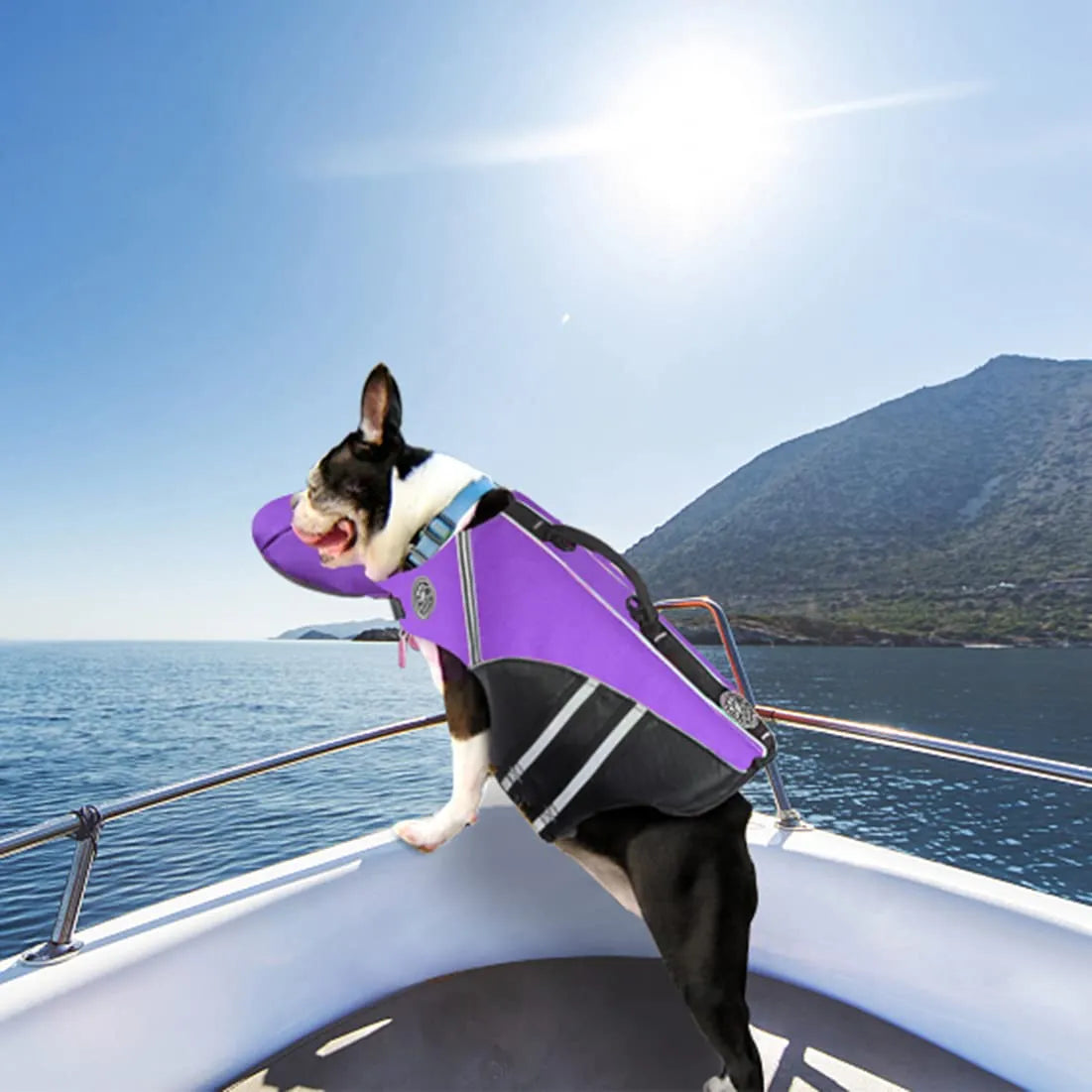 Adjustable Summer Dog Life Jacket