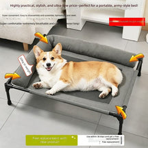 Elevated Dog Bed with Padded Bolster Rim