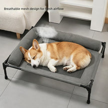 Elevated Dog Bed with Padded Bolster Rim