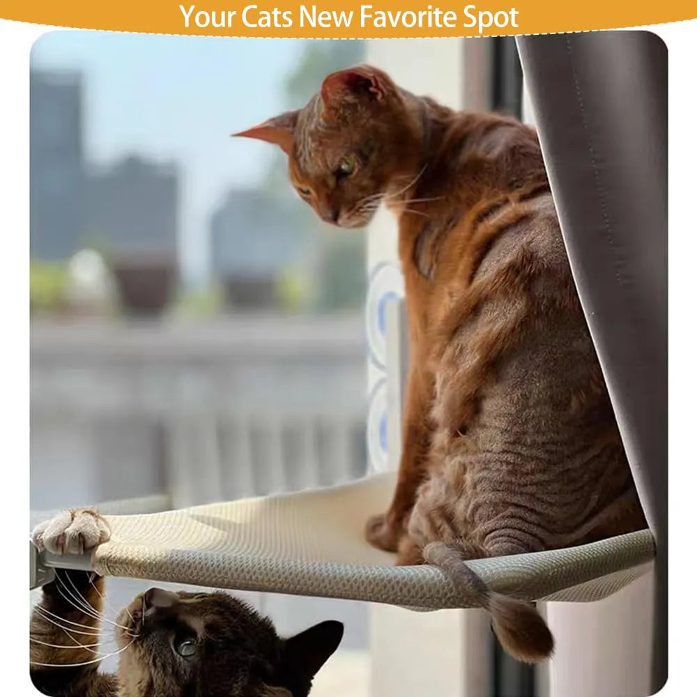 Foldable Cat Window Perch with Strong Suction & Plush Pad