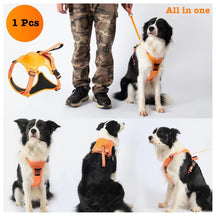 Anti-Pull Dog Harness Vest with Leash
