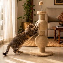 Multi-Function Sisal Cat Scratching Post with Teaser Spring Ball for Indoor Cats and Kittens
