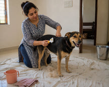 One Click Pet Hair Removal Comb