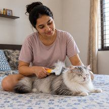 One Click Pet Hair Removal Comb