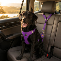 Adjustable Pet Dog Car Harness