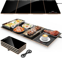 4 in 1 Premium Electric Fast Heating Food Warming Tray