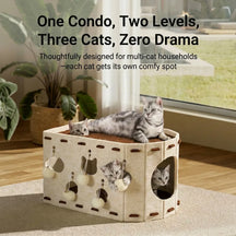 All-in-One Cat Playhouse with Scratch Lounge Bed