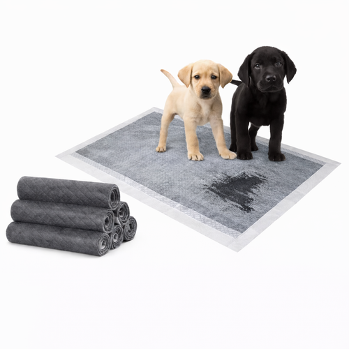 Disposable Puppy Pee Pads (Pack of 100)
