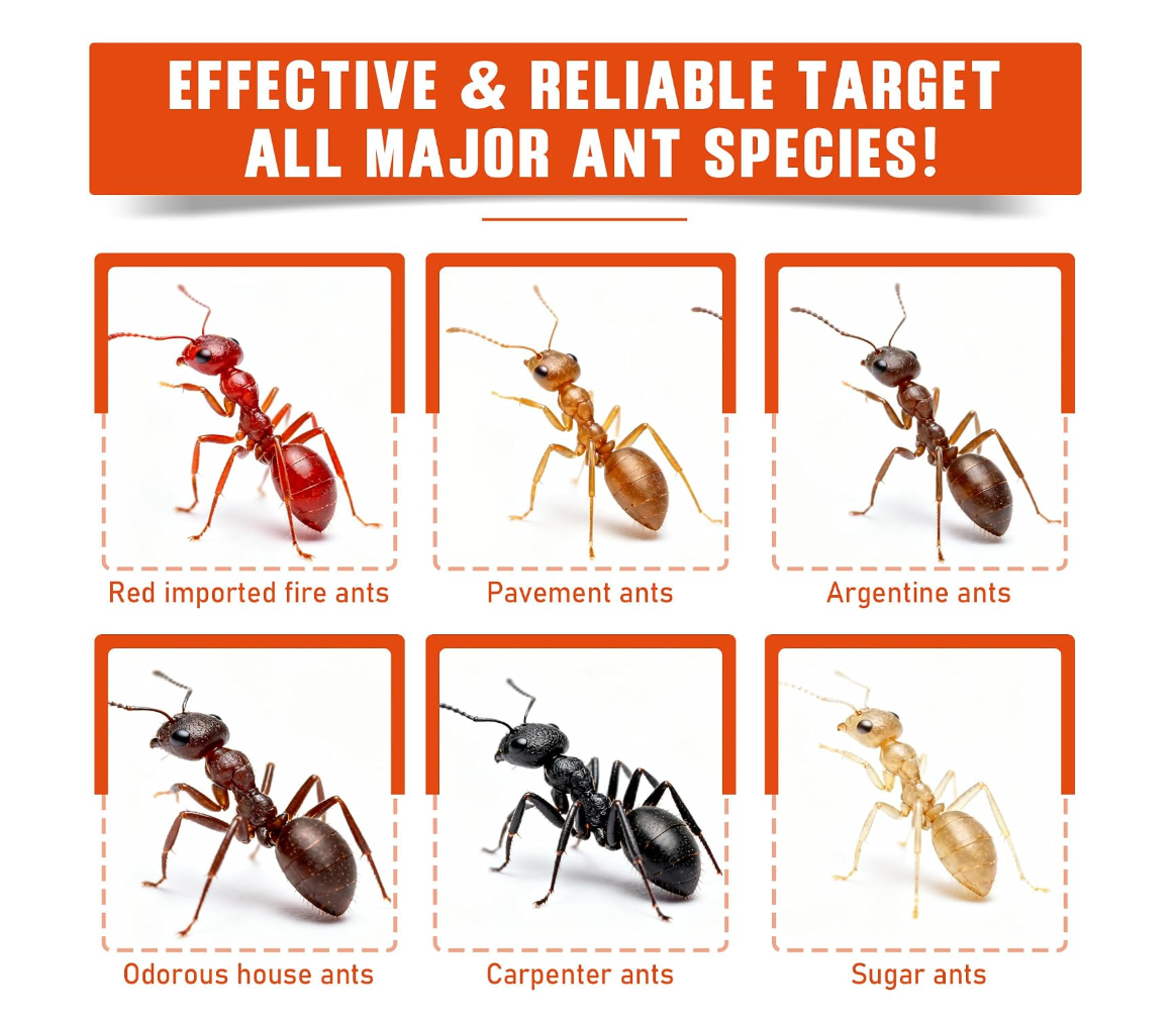 Liquid Ant Baits