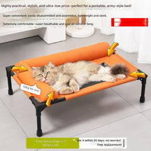 Elevated Dog Bed with Padded Bolster Rim