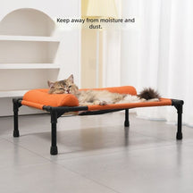 Elevated Dog Bed with Padded Bolster Rim
