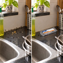 Liquid Ant Bait Stations Indoor Ant Killer Pre-Filled Snap-Off Bait Trays, Kills the Queen & the Entire Colony
